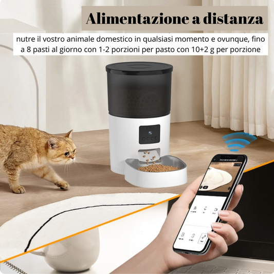 Distributore automatico di cibo per gatti - Fenomenologia Shop