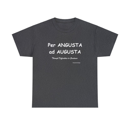 Per ANGUSTA ad AUGUSTA Unisex T-Shirt - Fenomenologia Shop