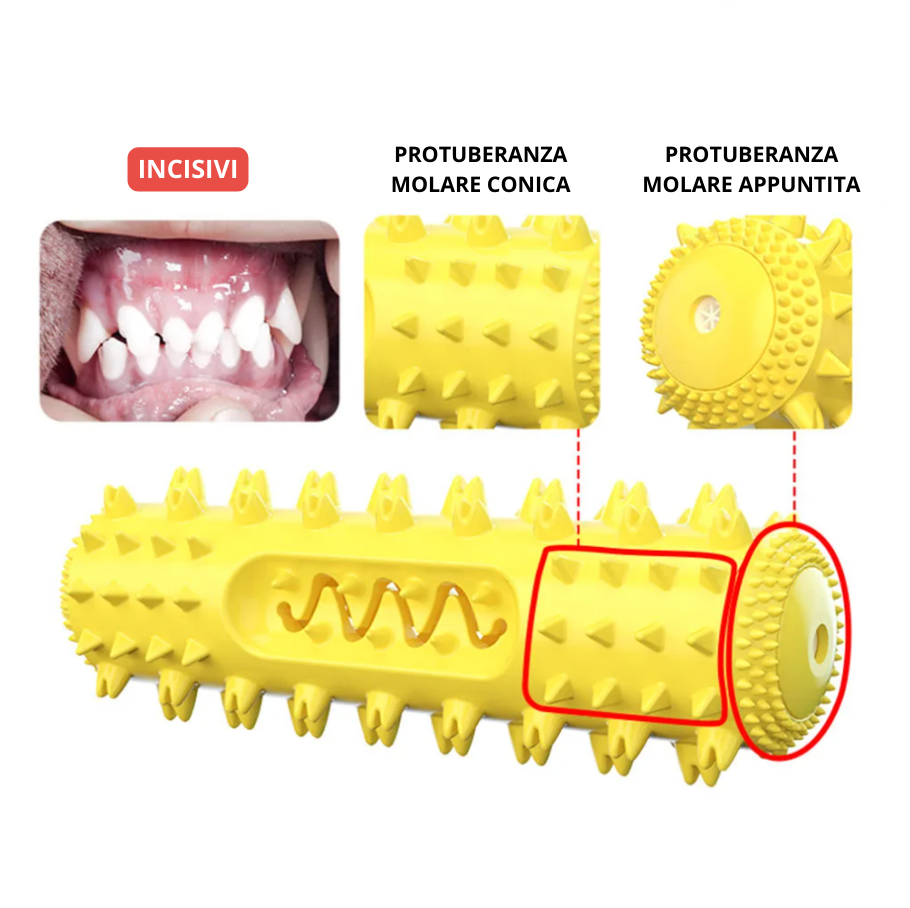 Giocattolo per cura dentale - Fenomenologia Shop