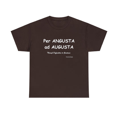 Per ANGUSTA ad AUGUSTA Unisex T-Shirt - Fenomenologia Shop