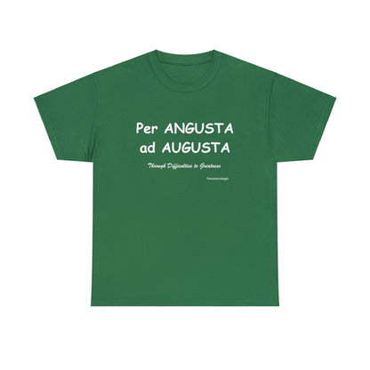 Per ANGUSTA ad AUGUSTA Unisex T-Shirt - Fenomenologia Shop