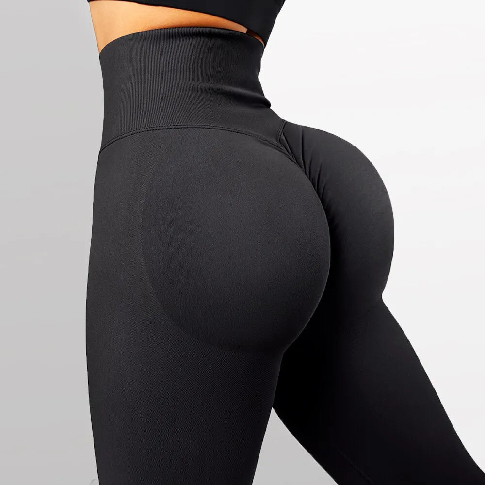 Pantaloni da palestra fitness lavorati a maglia senza cuciture - Fenomenologia Shop